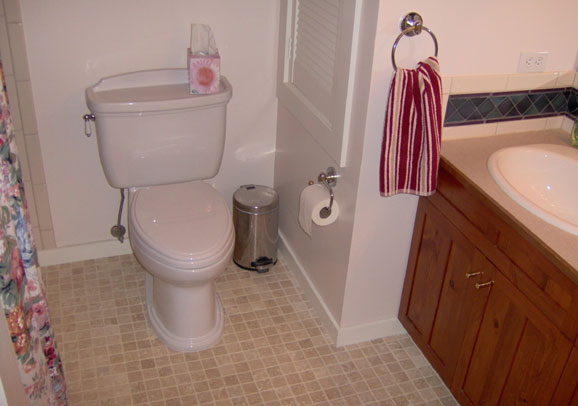 Elegant bathroom makeover with custom lighting by Maurer Construction